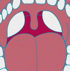 tongue-1
